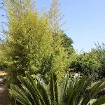 Villa La Capirota Lodero
