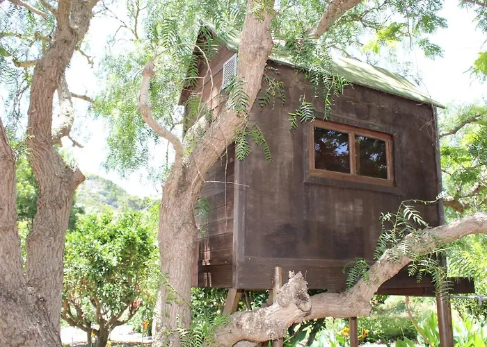 La Capirota Villa *